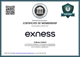 Maximize Your Earnings with the Exness Introducing Broker IB Program 0