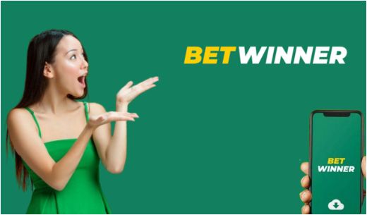 Discover the Exciting World of BetWinner SN Online Casino